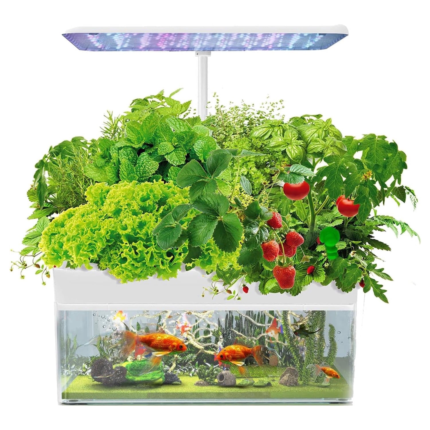 12 Pods Indoor Hydroponics Growing System with Eco